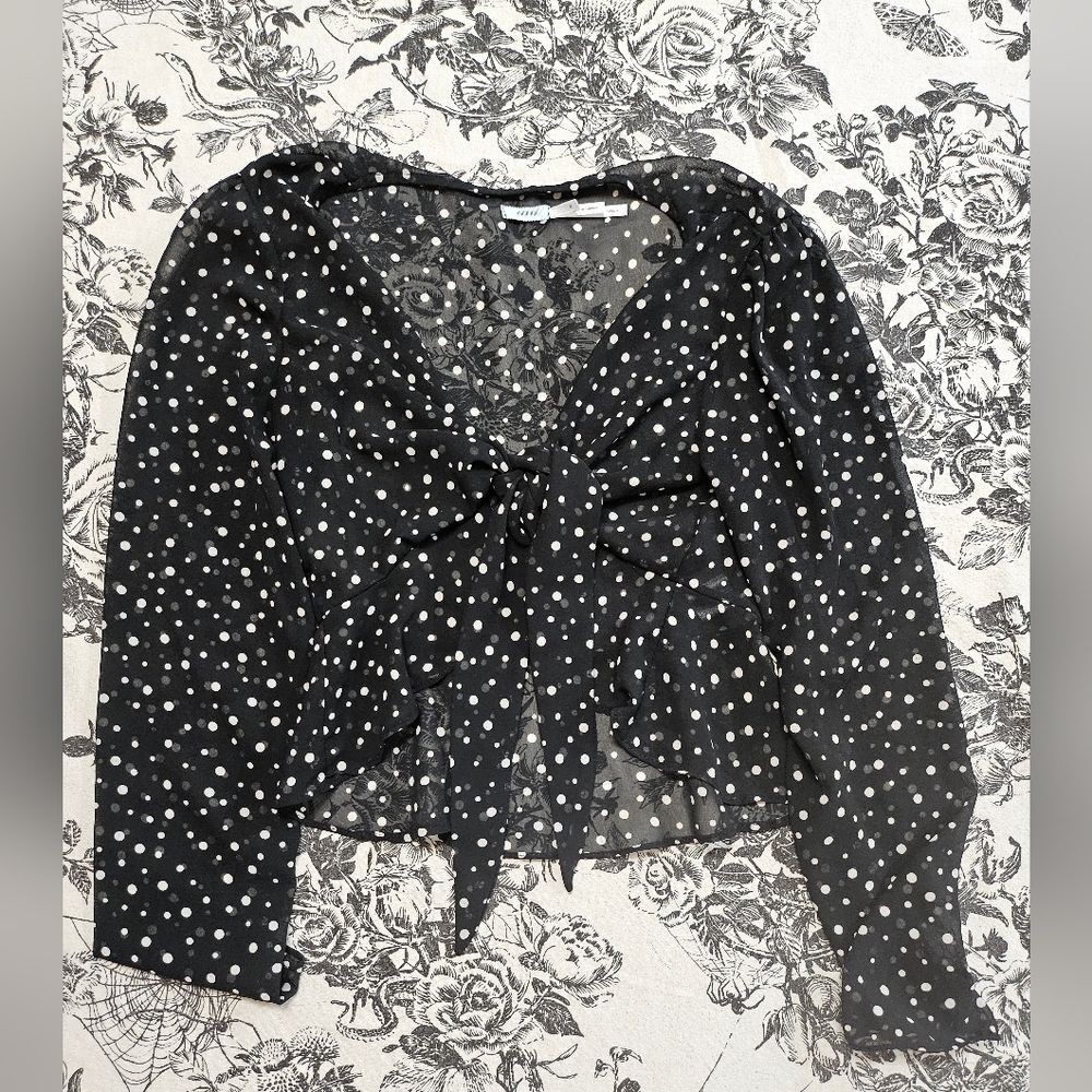 Urban Outfitters Polka Dot Black and White Sheer Tie Blouse